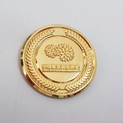 Gold metal pins with clutch