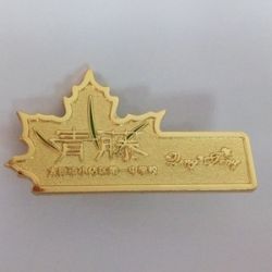 Lapel pins